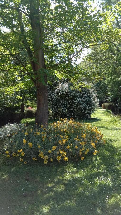 דירות Waikuku Rose & Stream Retreat מראה חיצוני תמונה